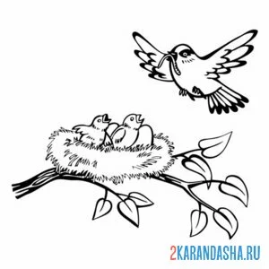 Раскраска мама птица летит к гнезду