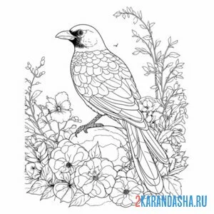 Раскраска сорока птица цветы