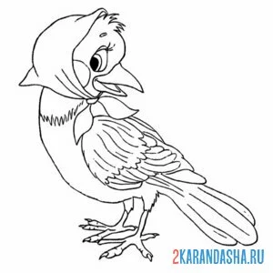 Раскраска птичка сорока-белобока
