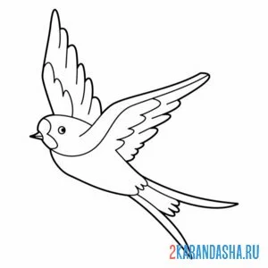 Раскраска ласточка крылья