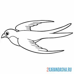 Раскраска ласточка летающая