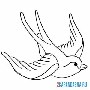 Раскраска ласточка полет в небе