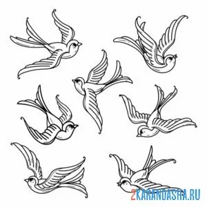 Раскраска много ласточек