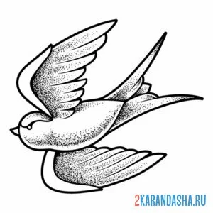 Раскраска весенняя ласточка