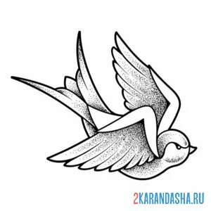 Раскраска ласточка маленькая