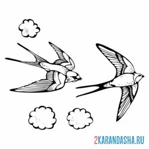 Раскраска две ласточки в небе
