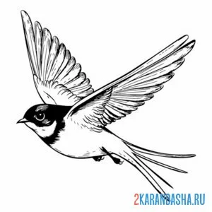 Раскраска ласточка летит к гнезду