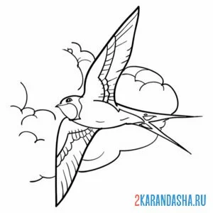 Раскраска ласточка в небе туча