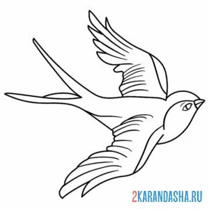Раскраска птичка ласточка
