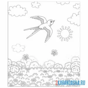 Раскраска ласточка в лесу