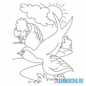 Раскраска весна ласточка и солнце