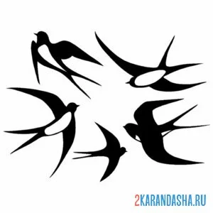 Раскраска ласточки 5 штук