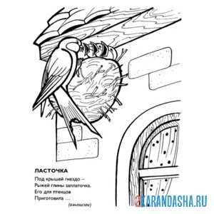 Раскраска ласточка построила гнездо