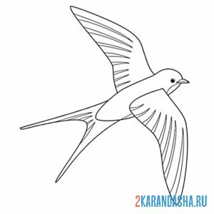 Раскраска полет красивой ласточки