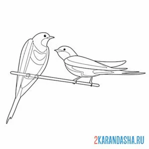 Раскраска ласточки мальчик и девочка