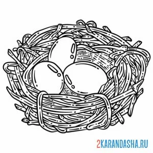 Раскраска гнездо и веточек с яичками