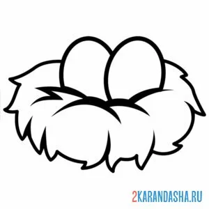 Раскраска два яйца в гнезде