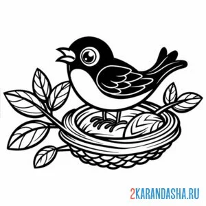 Раскраска птичка и гнездо