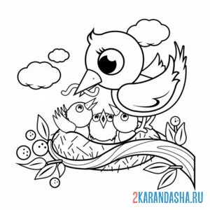 Раскраска птица гнездо и птенцы