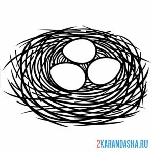 Раскраска небольшое гнездо