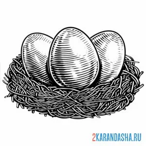 Раскраска золотые яйца в гнезде
