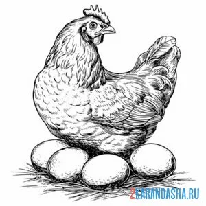 Раскраска курица и 4 больших яйца