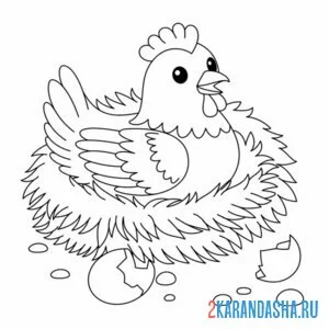 Раскраска курочка и яйцо