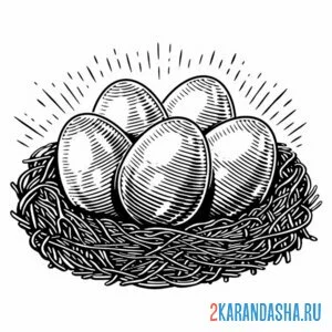 Раскраска пять яиц в гнезде