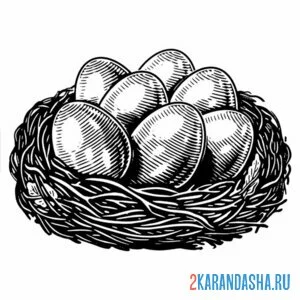 Раскраска много яиц в гнезде