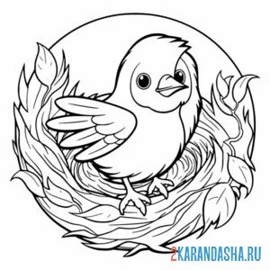 Раскраска птица и круглое гнездо