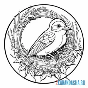 Раскраска красивая птичка в гнезде