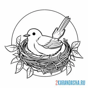 Раскраска птичка высиживает яйцо в гнезде