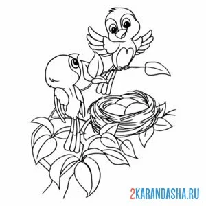 Раскраска папа и мама птицы и гнездо