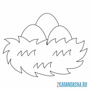 Раскраска простое гнездо