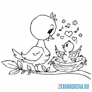 Раскраска птичка любовь птенец гнездо