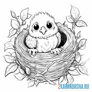 Раскраска глубокое гнездо