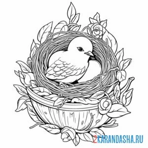 Раскраска птенчик и яйцо в гнезде