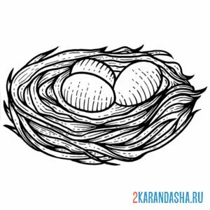 Раскраска в гнезде яйца