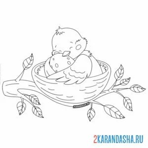 Раскраска мама птичка в гнезде с яйцом