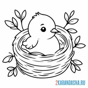 Раскраска малыш птенчик в гнезде