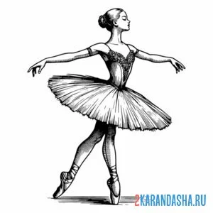 Раскраска балерина и пачка