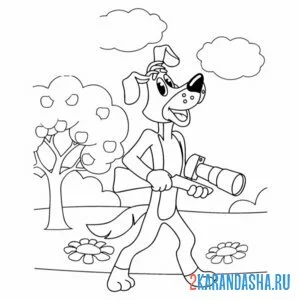 Раскраска шарик и фоторужье