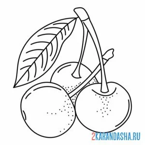 Раскраска вишня с листиком