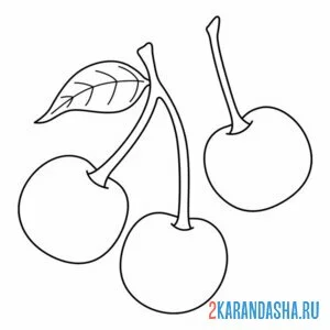 Раскраска сочная вишня