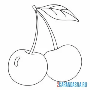 Раскраска две вишни на веточке
