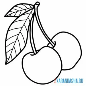 Раскраска сочная черешня