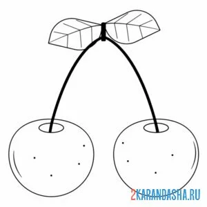 Раскраска созревшая вишня черешня