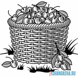 Раскраска корзина полная вишни