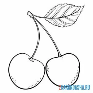 Раскраска летняя вишня