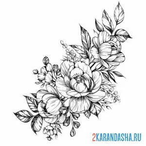 Раскраска куст пиона
